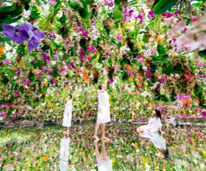 teamLab Planets Toyosu
